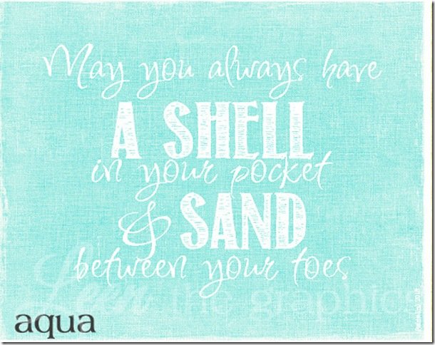 shell in your pocket aqua