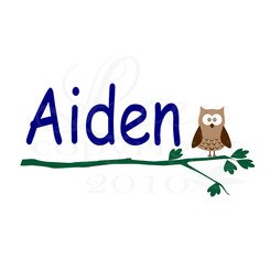 Cute Boy Owl on Branch with Name Wall Decal