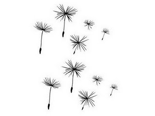 Dandelion Seeds Vinyl Wall Decal Set