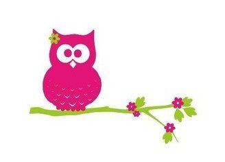 Mia Owl on Tree Branch with Flower Vinyl Wall Decal
