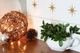 Large set of Star Wall Decals