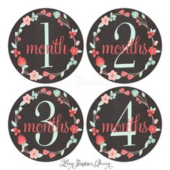 12 Baby Girl Month Stickers
pretty mint and coral wreath floral design
chalkboard look background
great baby shower gift idea
safe and pretty packaging
