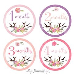 Baby Month Stickers Baby Girl Growth Decals Monthly Baby Stickers Baby Shirt Stickers Baby Shower Gift Flower Antler Girl Month Stickers USA